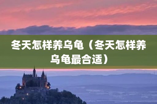 冬天怎样养乌龟（冬天怎样养乌龟最合适）