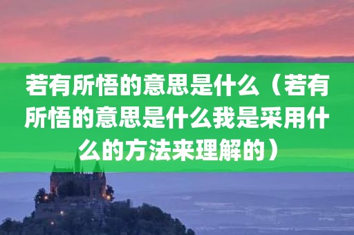 若有所悟的意思是什么（若有所悟的意思是什么我是采用什么的方法来理解的）