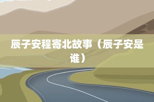 辰子安程寄北故事（辰子安是谁）
