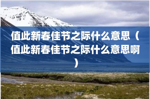 值此新春佳节之际什么意思（值此新春佳节之际什么意思啊）