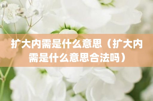 扩大内需是什么意思(扩大内需是什么意思合法吗)