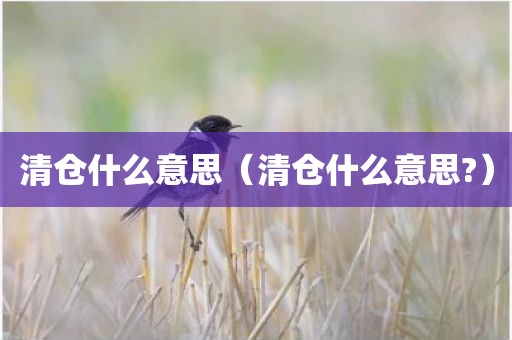 清仓什么意思（清仓什么意思?）