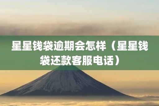 星星钱袋逾期会怎样（星星钱袋还款客服电话）