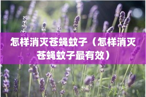 怎样消灭苍蝇蚊子（怎样消灭苍蝇蚊子最有效）