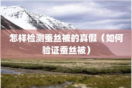 怎样检测蚕丝被的真假（如何验证蚕丝被）