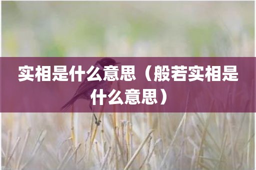 实相是什么意思（般若实相是什么意思）
