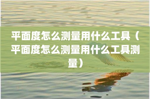 平面度怎么测量用什么工具（平面度怎么测量用什么工具测量）