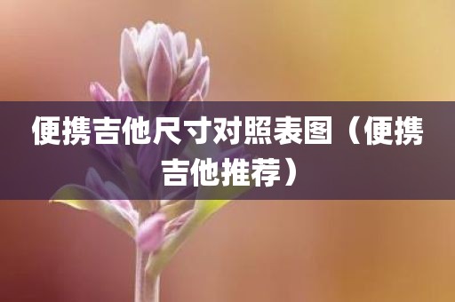 便携吉他尺寸对照表图（便携吉他推荐）