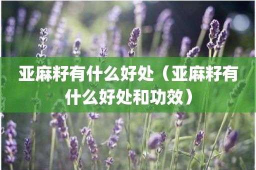 亚麻籽有什么好处（亚麻籽有什么好处和功效）