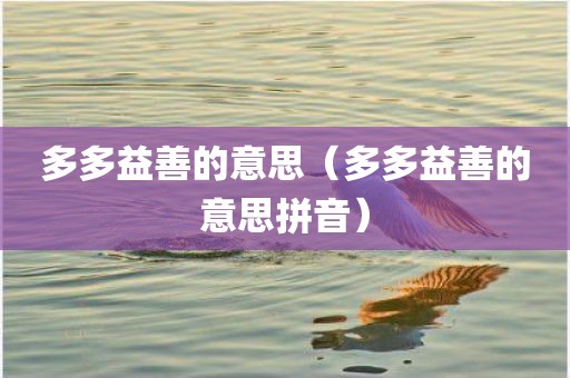 多多益善的意思(多多益善的意思拼音)