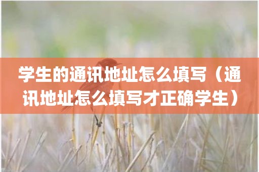 学生的通讯地址怎么填写（通讯地址怎么填写才正确学生）
