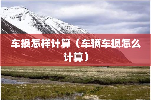 车损怎样计算（车辆车损怎么计算）