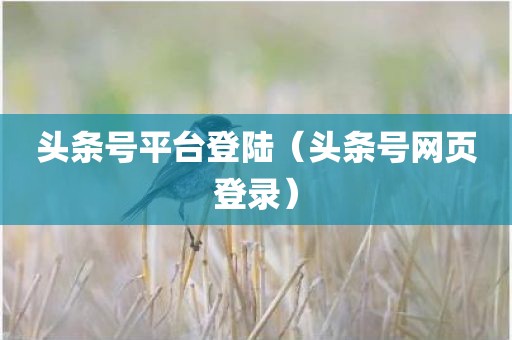 头条号平台登陆（头条号网页登录）