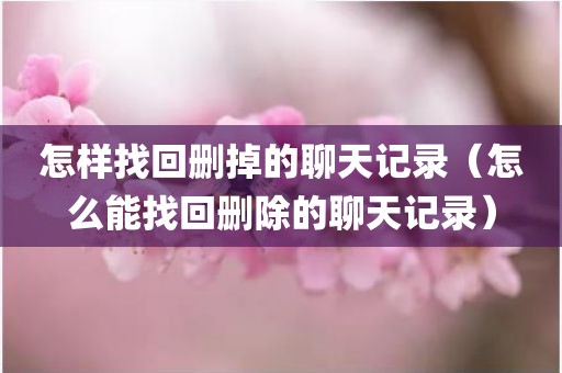 怎样找回删掉的聊天记录（怎么能找回删除的聊天记录）