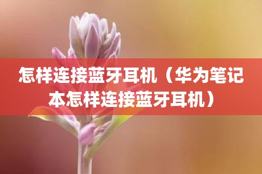 怎样连接蓝牙耳机（华为笔记本怎样连接蓝牙耳机）