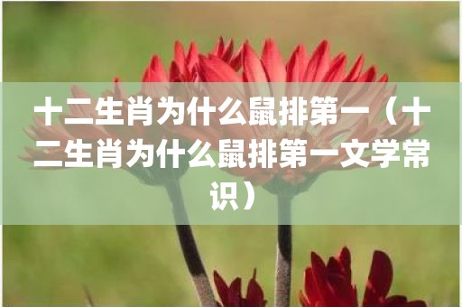 十二生肖为什么鼠排第一（十二生肖为什么鼠排第一文学常识）