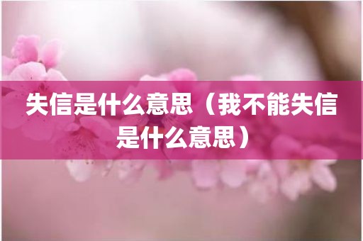 失信是什么意思（我不能失信是什么意思）
