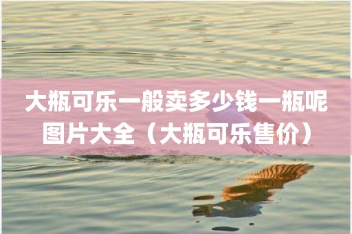 大瓶可乐一般卖多少钱一瓶呢图片大全（大瓶可乐售价）