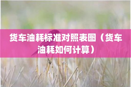 货车油耗标准对照表图（货车油耗如何计算）