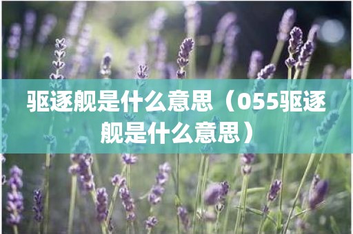 驱逐舰是什么意思（055驱逐舰是什么意思）