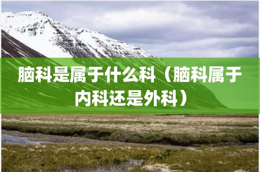 脑科是属于什么科（脑科属于内科还是外科）