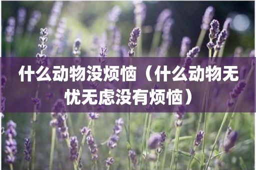 什么动物没烦恼（什么动物无忧无虑没有烦恼）