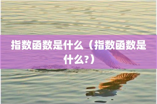 指数函数是什么（指数函数是什么?）