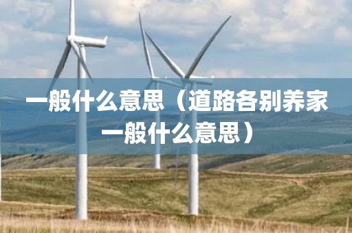 一般什么意思（道路各别养家一般什么意思）