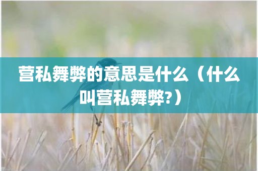 营私舞弊的意思是什么（什么叫营私舞弊?）