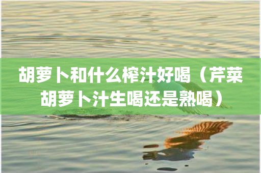 胡萝卜和什么榨汁好喝（芹菜胡萝卜汁生喝还是熟喝）