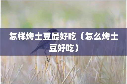 怎样烤土豆最好吃（怎么烤土豆好吃）