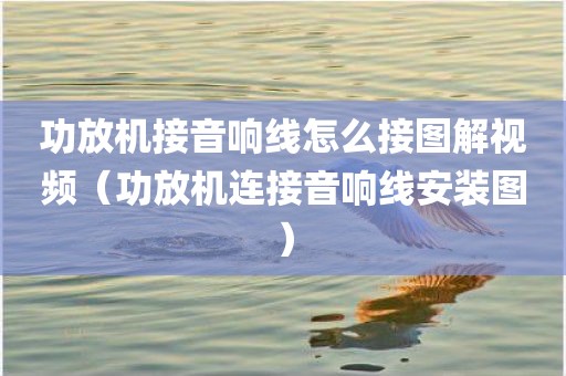 功放机接音响线怎么接图解视频（功放机连接音响线安装图）