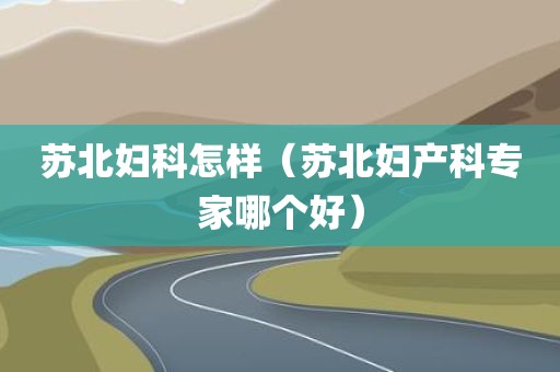 苏北妇科怎样（苏北妇产科专家哪个好）