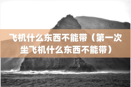 飞机什么东西不能带（第一次坐飞机什么东西不能带）