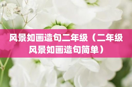 风景如画造句二年级（二年级风景如画造句简单）