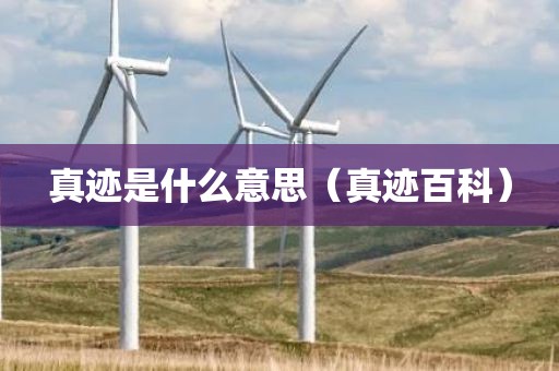 真迹是什么意思（真迹百科）