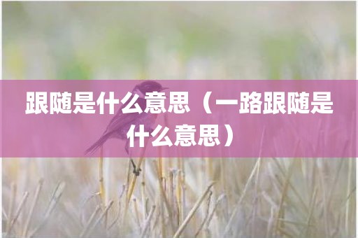 跟随是什么意思（一路跟随是什么意思）