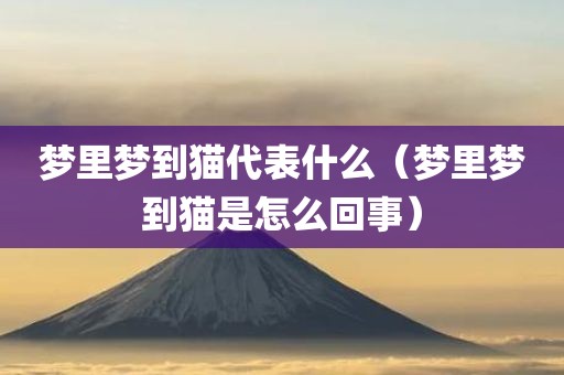 梦里梦到猫代表什么（梦里梦到猫是怎么回事）