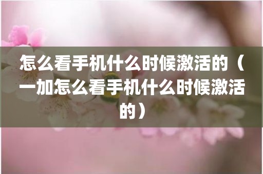怎么看手机什么时候激活的（一加怎么看手机什么时候激活的）