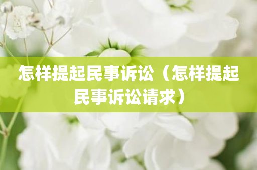 怎样提起民事诉讼（怎样提起民事诉讼请求）