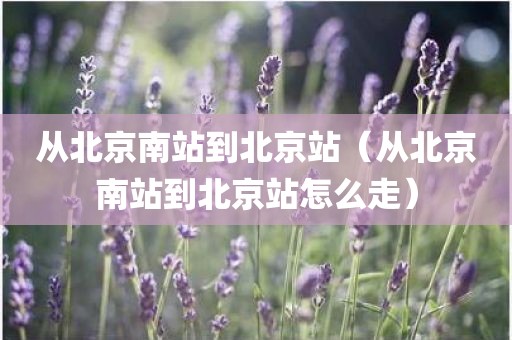 从北京南站到北京站（从北京南站到北京站怎么走）