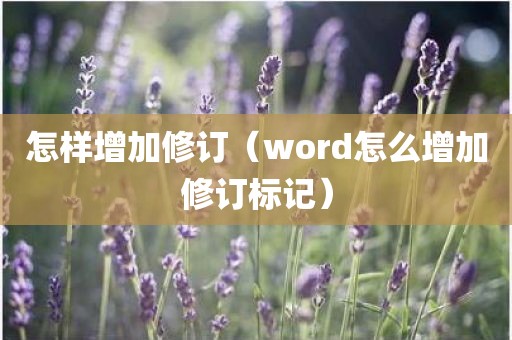 怎样增加修订（word怎么增加修订标记）