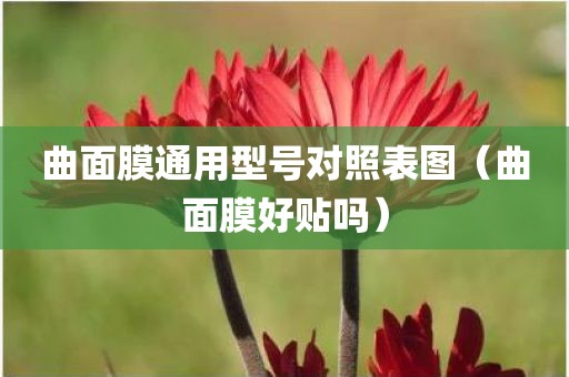 曲面膜通用型号对照表图（曲面膜好贴吗）