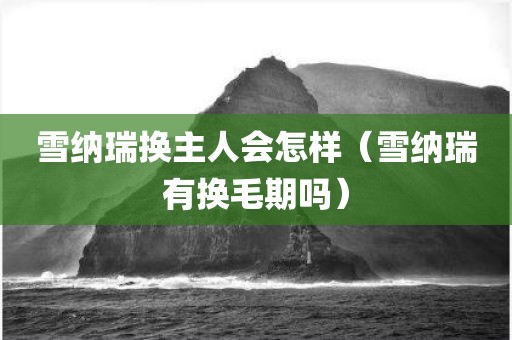 雪纳瑞换主人会怎样（雪纳瑞有换毛期吗）