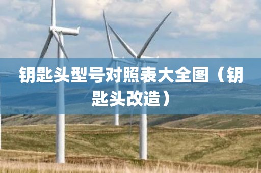 钥匙头型号对照表大全图（钥匙头改造）