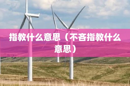 指教什么意思（不吝指教什么意思）