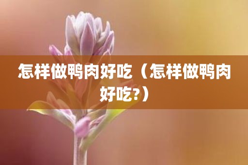 怎样做鸭肉好吃（怎样做鸭肉好吃?）