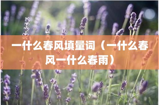 一什么春风填量词（一什么春风一什么春雨）