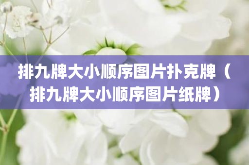 排九牌大小顺序图片扑克牌（排九牌大小顺序图片纸牌）