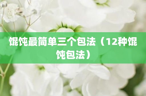 馄饨最简单三个包法（12种馄饨包法）
